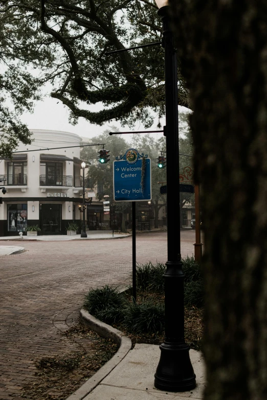 a street light sitting next to a tree and buildings