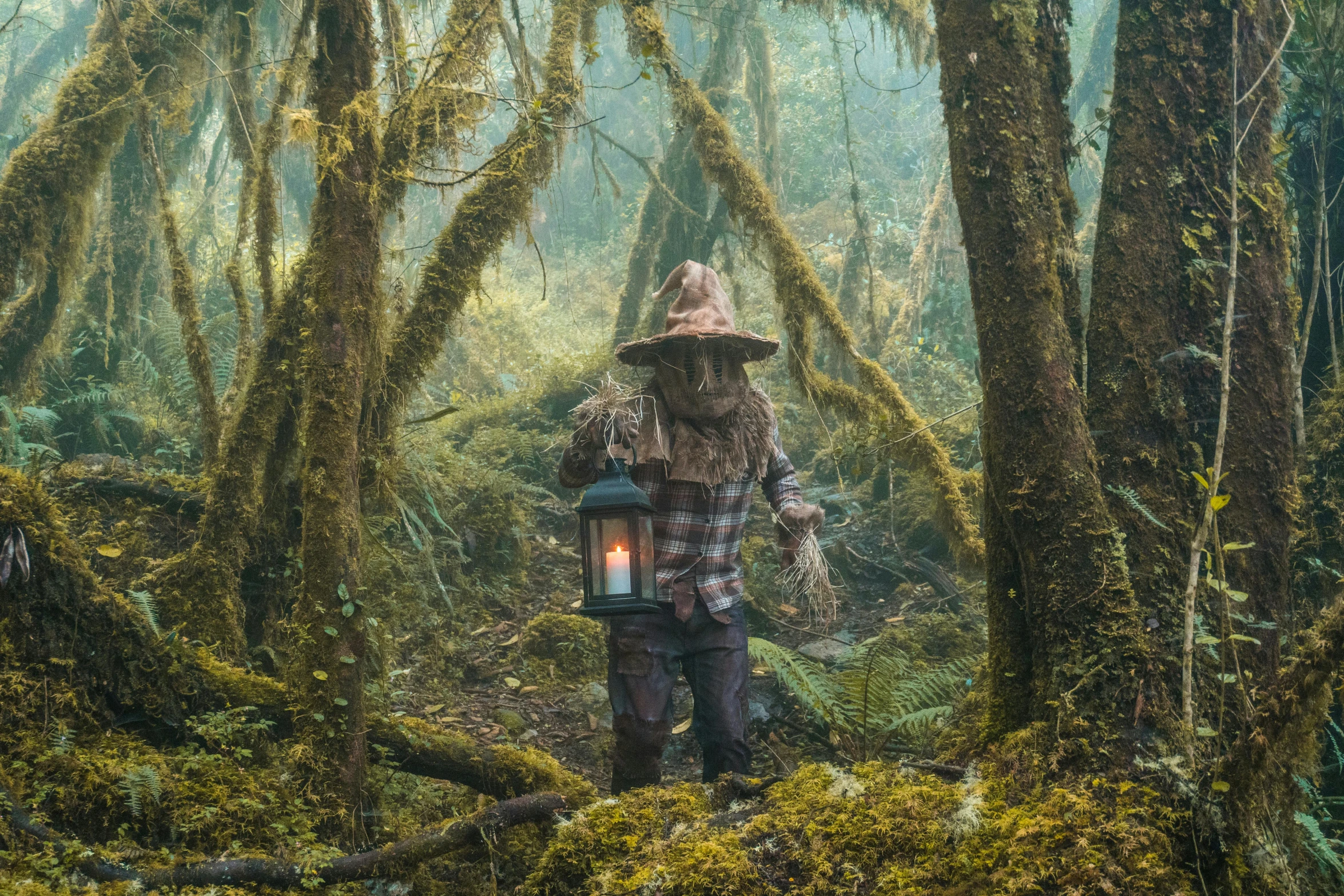 a man walking through the woods holding an illuminated lantern
