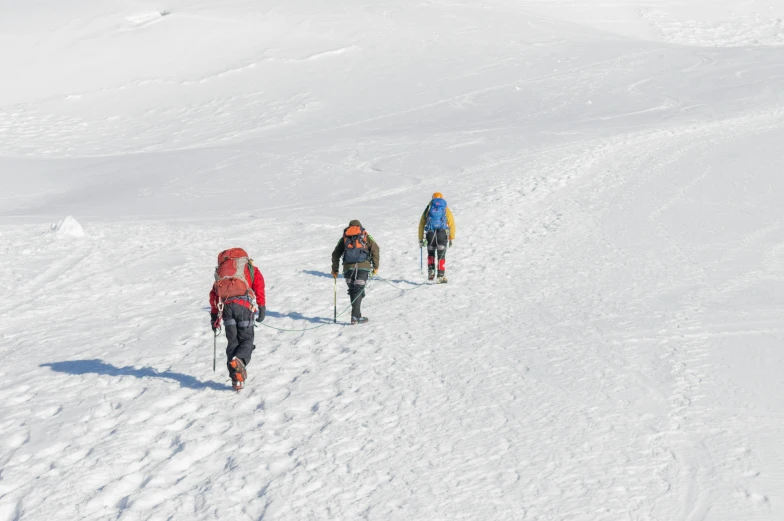 four people are seen skiing through the snow