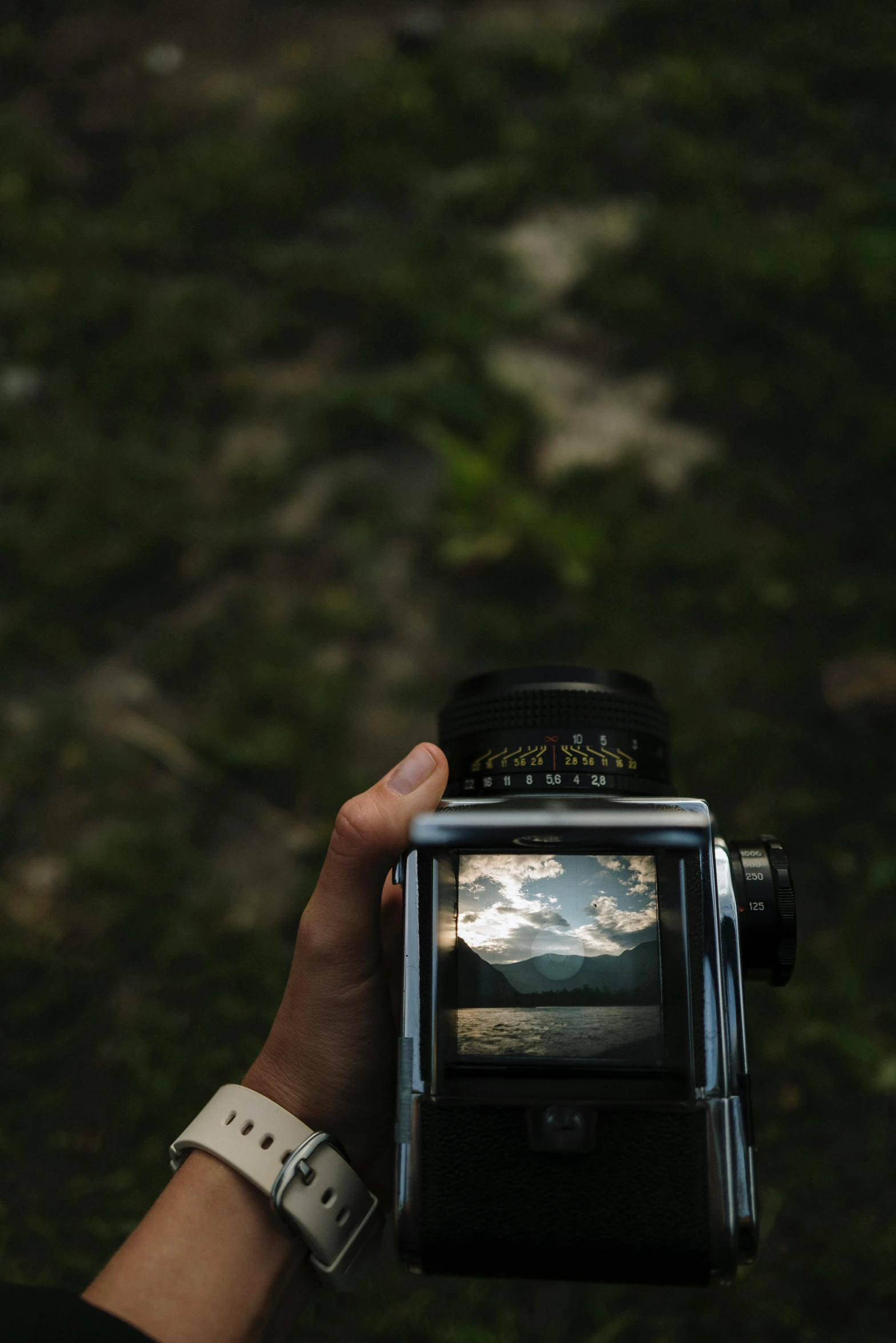 the hand of a person holding up a camera