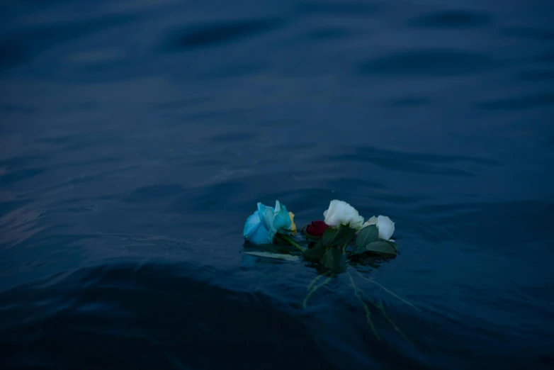 a bunch of flowers that are in the water