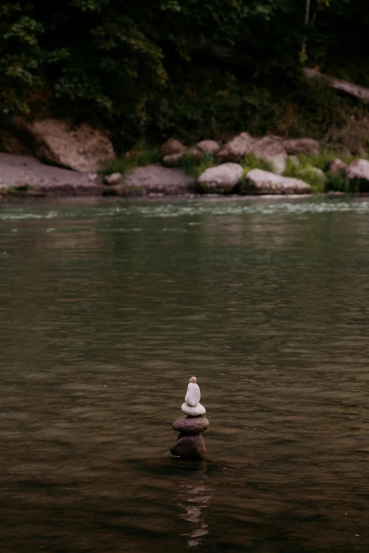 an egg laying on top of a rock in the middle of a river