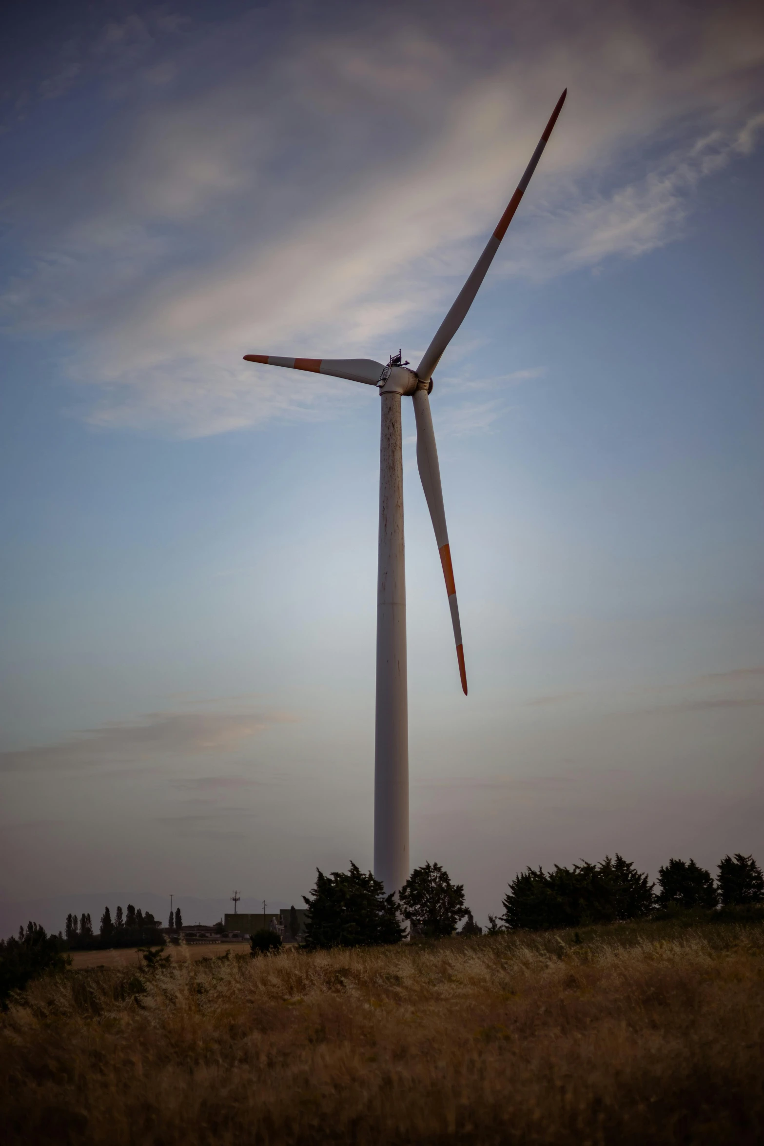 wind turbine in a field near a forest