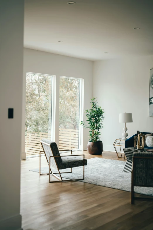 there are two chairs and a lamp in this living room