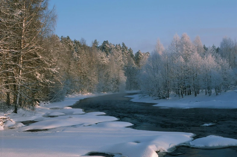 the snowy trees and stream run through the snow