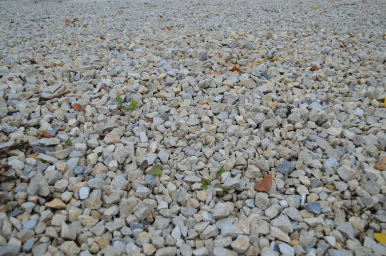 small gray rocks piled on the ground, along with orange and green leaves