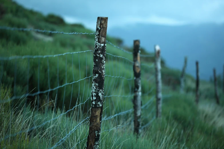 a fence is shown next to a grassy hill