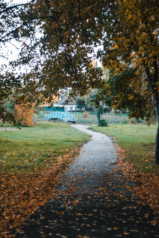 the path is made from a single leafed tree