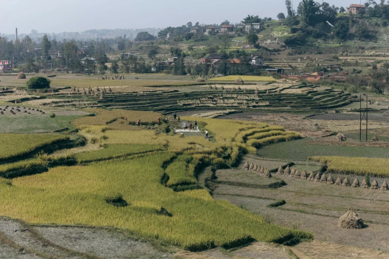 aerial s of a rice field surrounded by hills and valleys