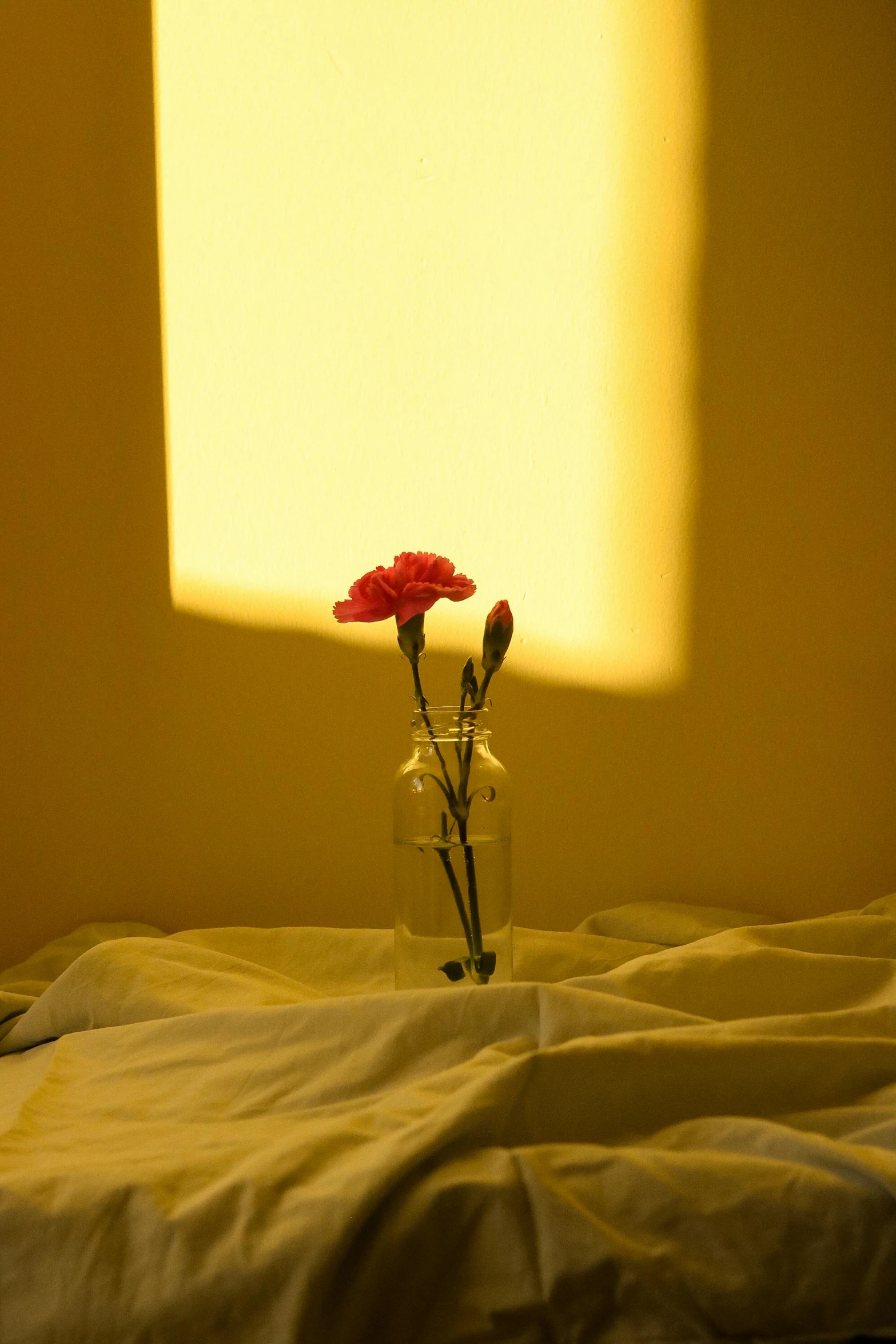 a vase with flowers on top of a bed