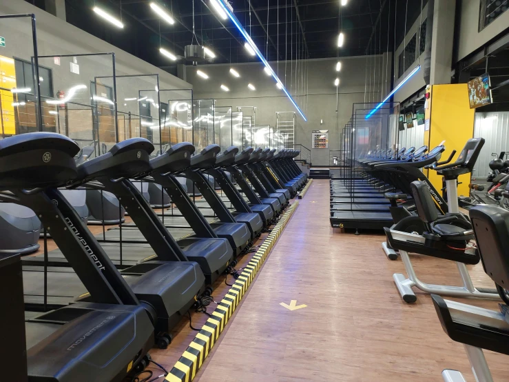 a gym with several rows of treadmills