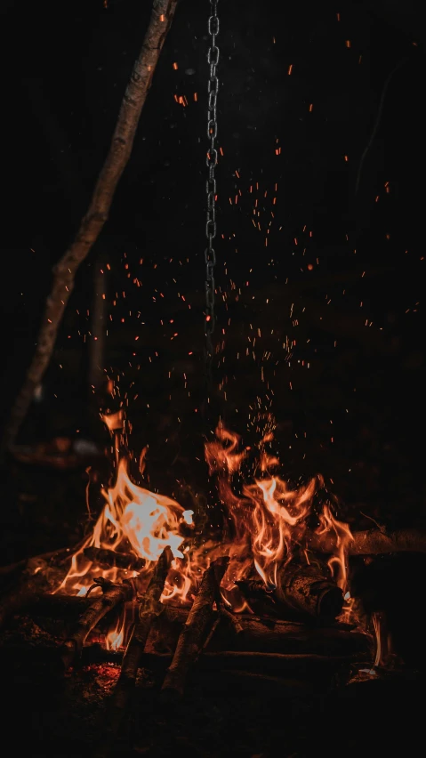 fire flames at night with one glowing red