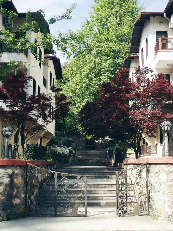 a bunch of homes with some trees around the gate