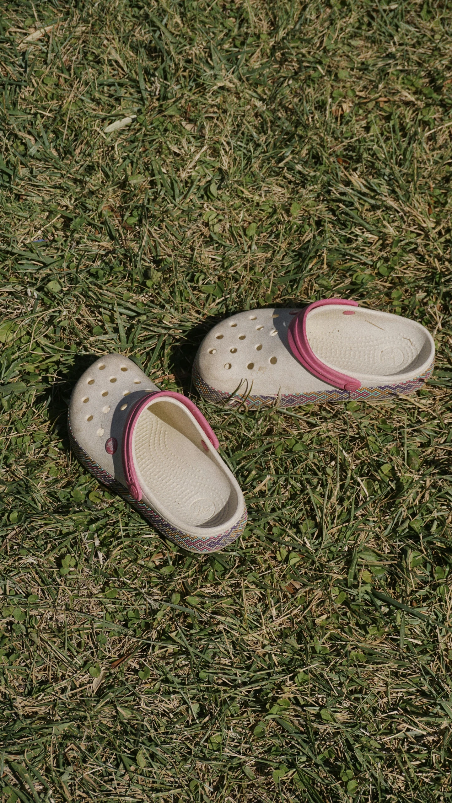 there are shoes that are in the grass