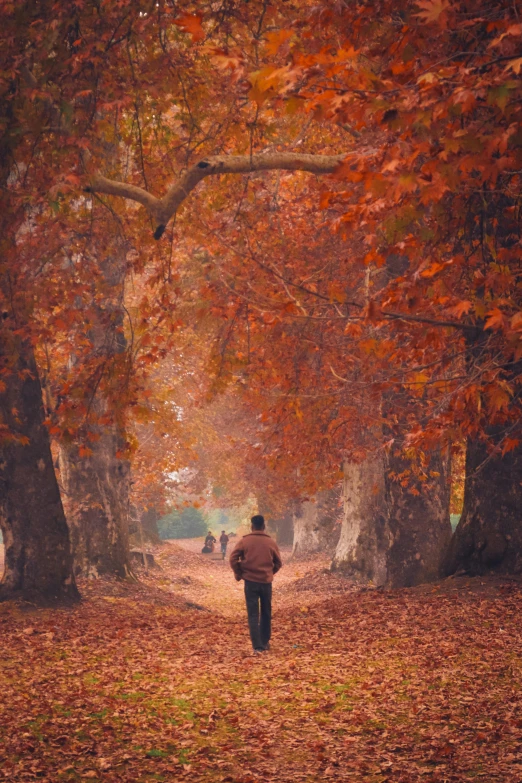 a man walking in an open park next to trees