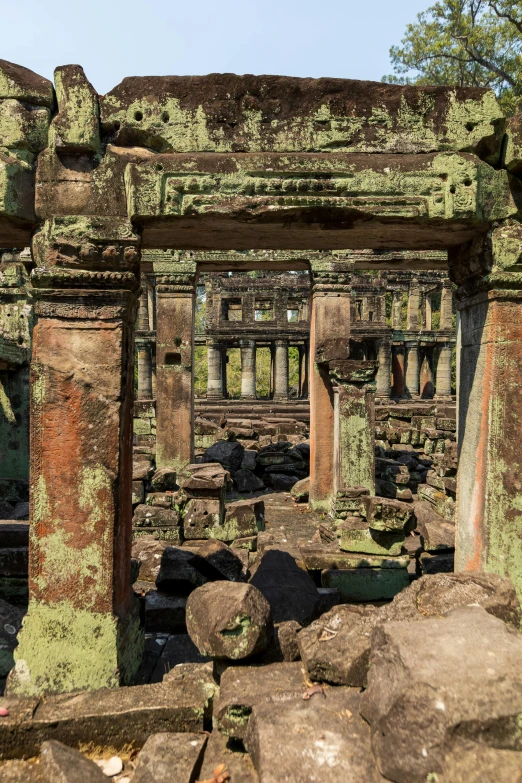the doorway to the jungle temple is covered with moss