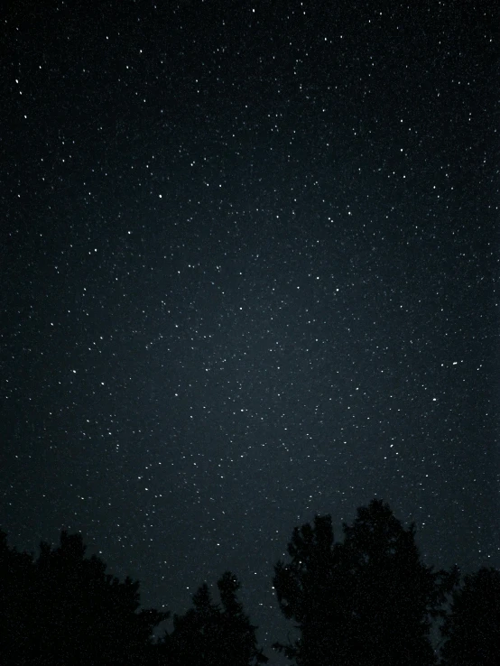 the stars are very visible in this image