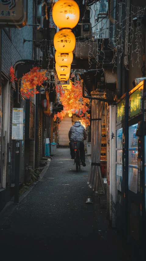 an alleyway with hanging lanterns and people walking under it