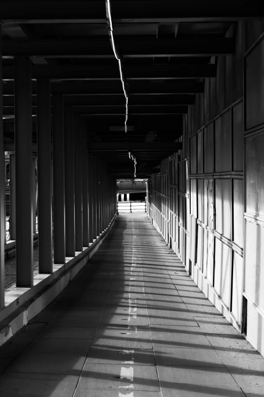 black and white po of the walkway at the university