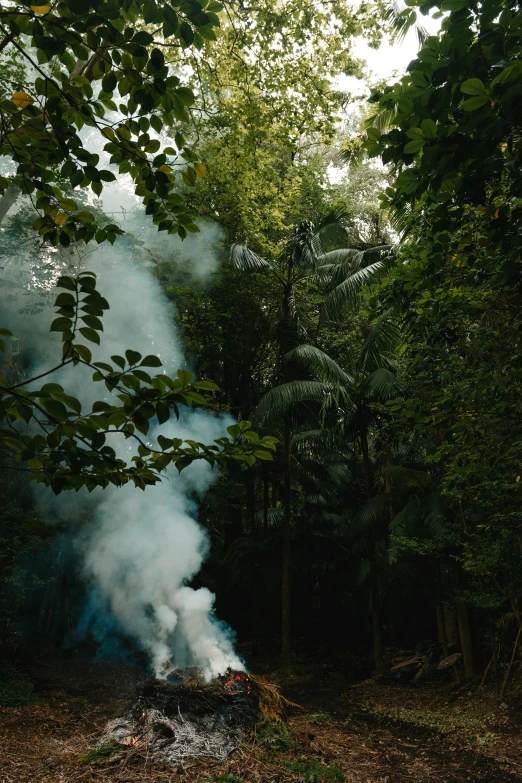 a small campfire with steam rising up into the air