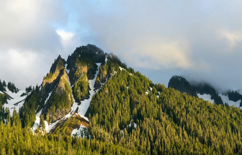 a mountain covered in snow and green foliage