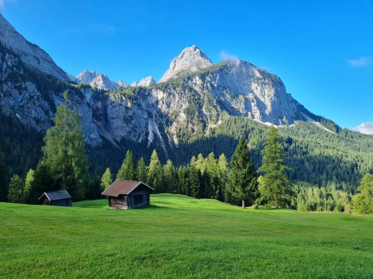 some houses and trees in a large green field