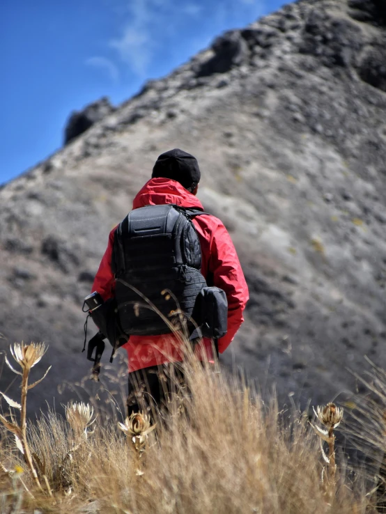 a person in a red coat is hiking