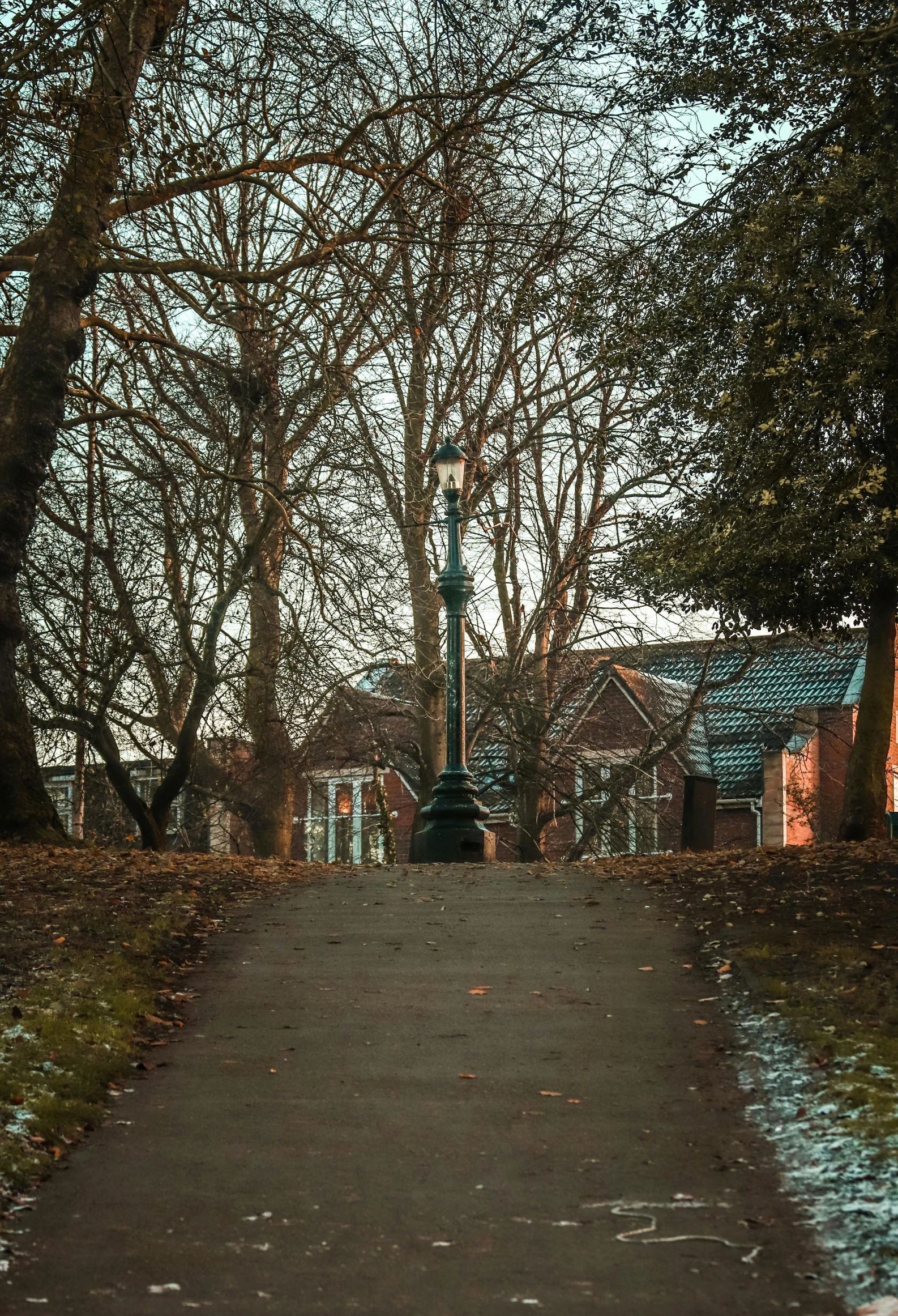 the pathway has trees on each side of it