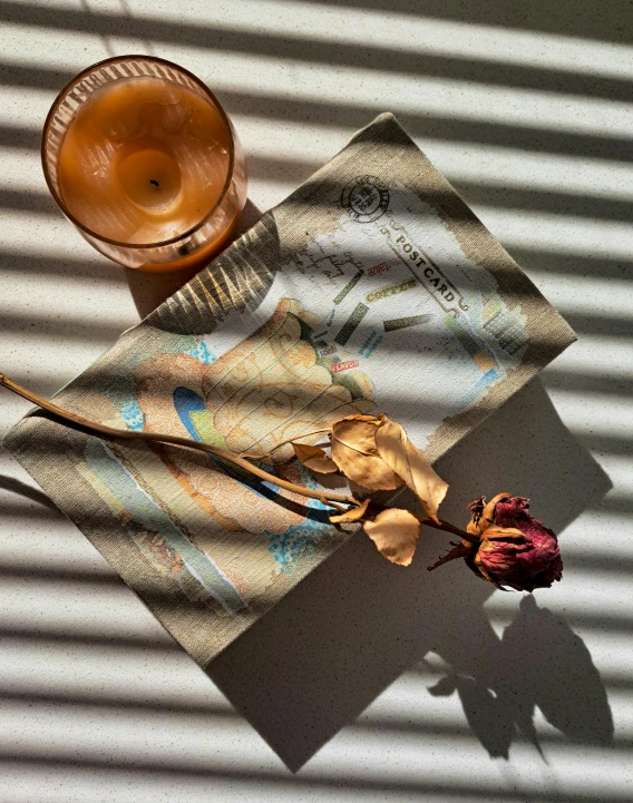 an image of shadows and flower on a table