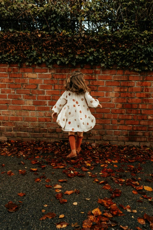 a girl with a long dress in the autumn leaves