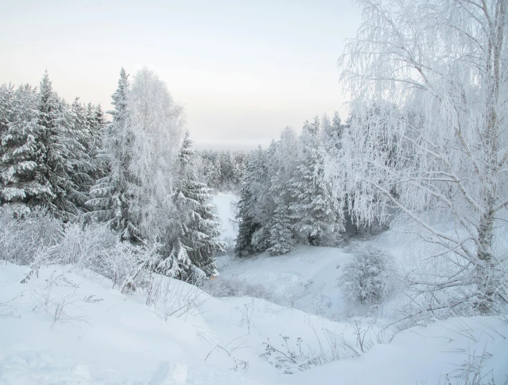 a view of snow covered trees and hills during the day