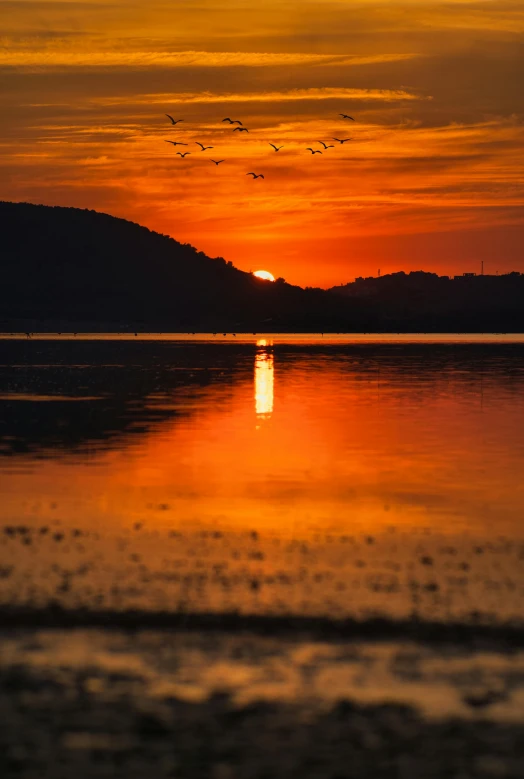 a bird flying low over the water during sunset