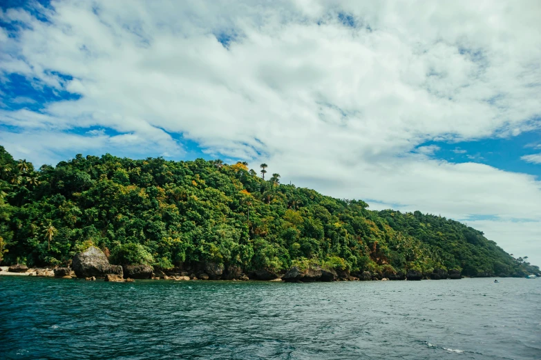 a view of trees, water and sky from a boat