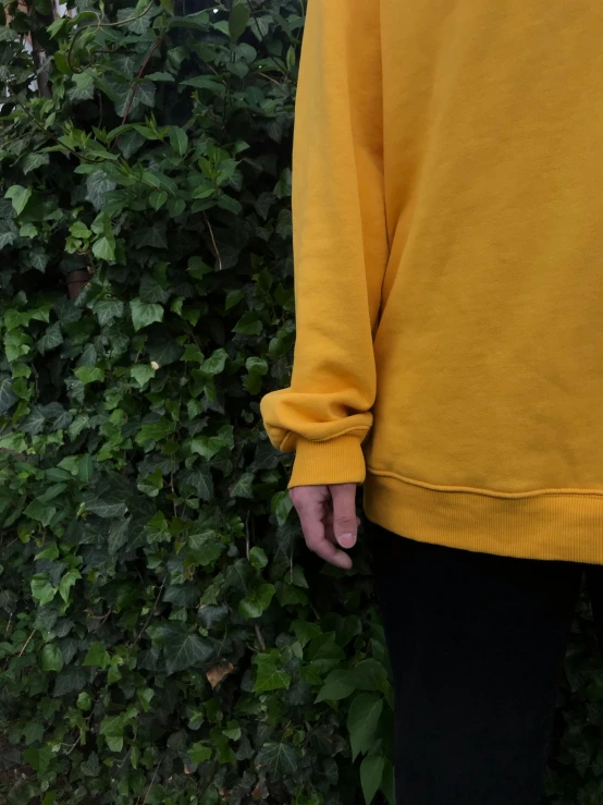 a person wearing yellow clothing by bushes