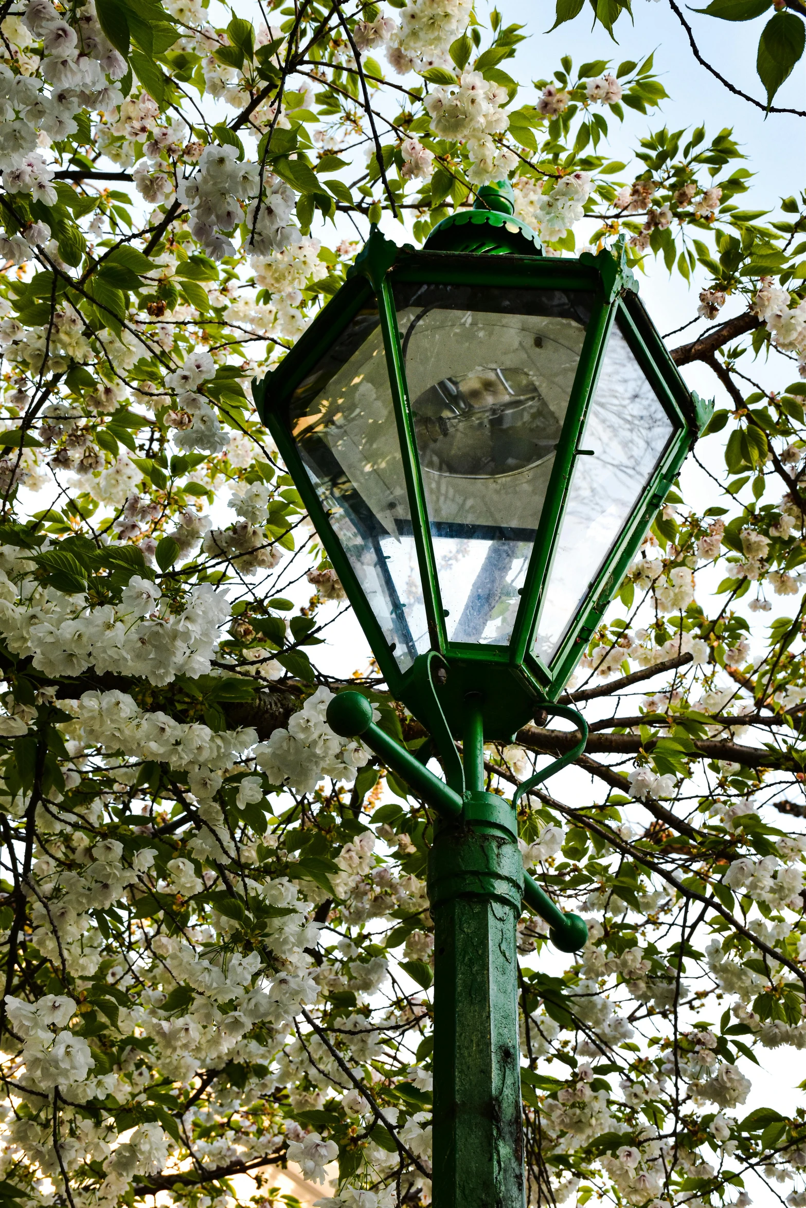 there is a green light pole on the street