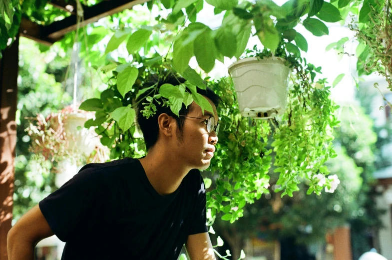 a man holding onto a plant in the air