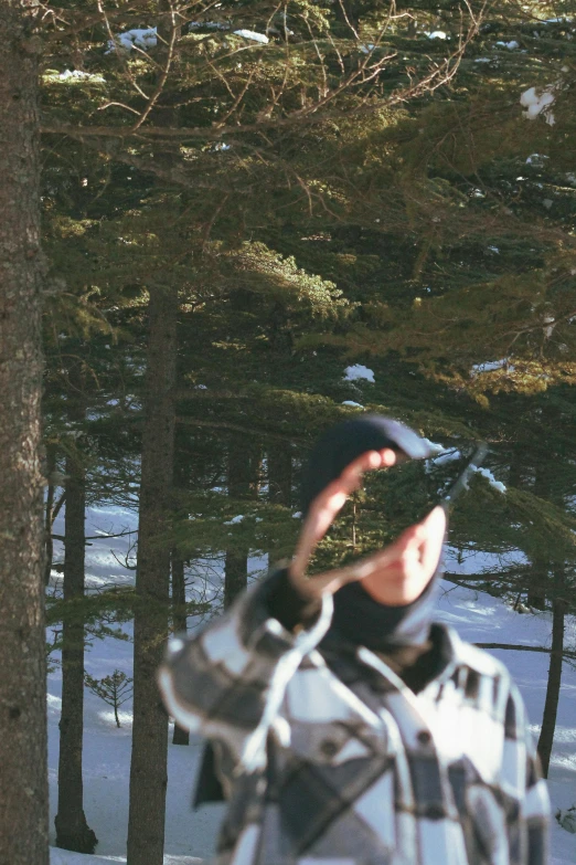 a man looks up to the trees during winter