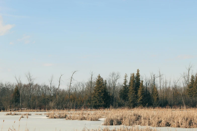 an old fashioned plane flying over a small pond