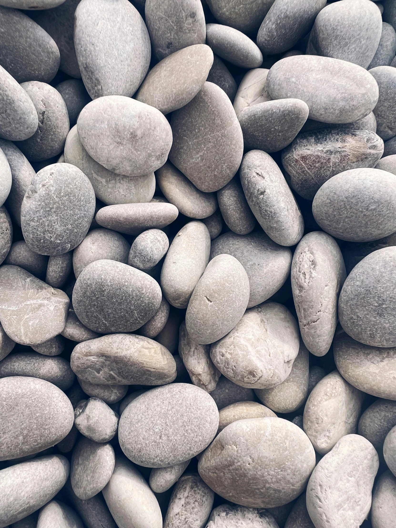 a bunch of white stones with some gray ones