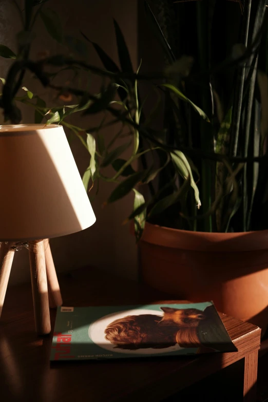 a lamp sitting on top of a wooden table next to a magazine