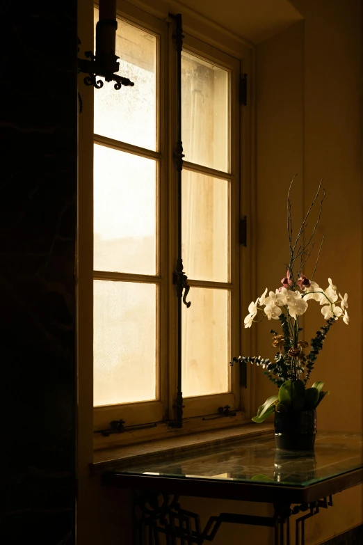 some white flowers are sitting on a glass table in front of the window