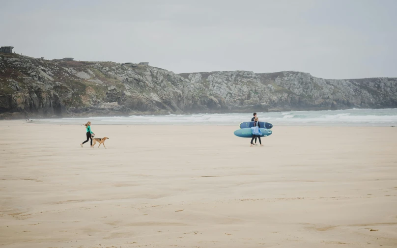 two people and their dog are walking on the beach