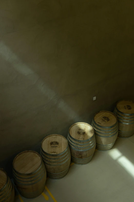 the room is filled with barrels of wine