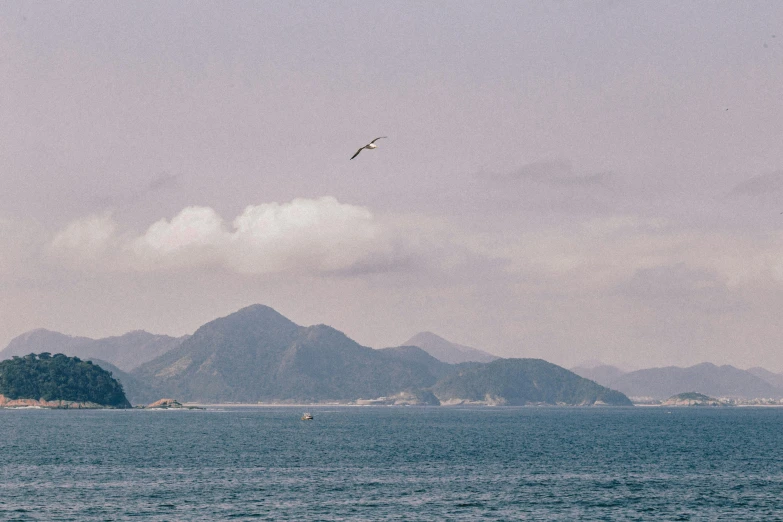 a sea bird flying over the ocean towards mountains