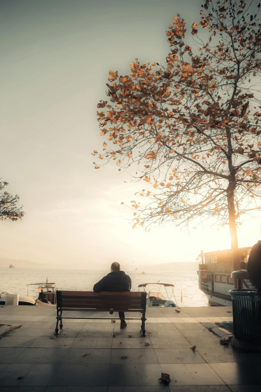 a person sitting on a bench near a tree