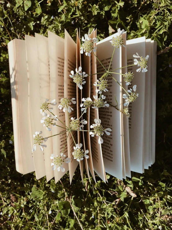 an opened book that has flowers in it