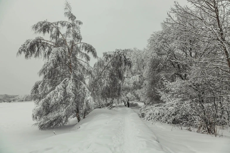 a snowy path through a field with lots of snow