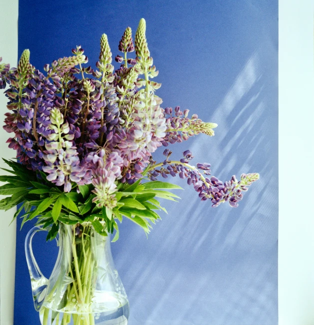 a vase with lavender flowers sitting on a table