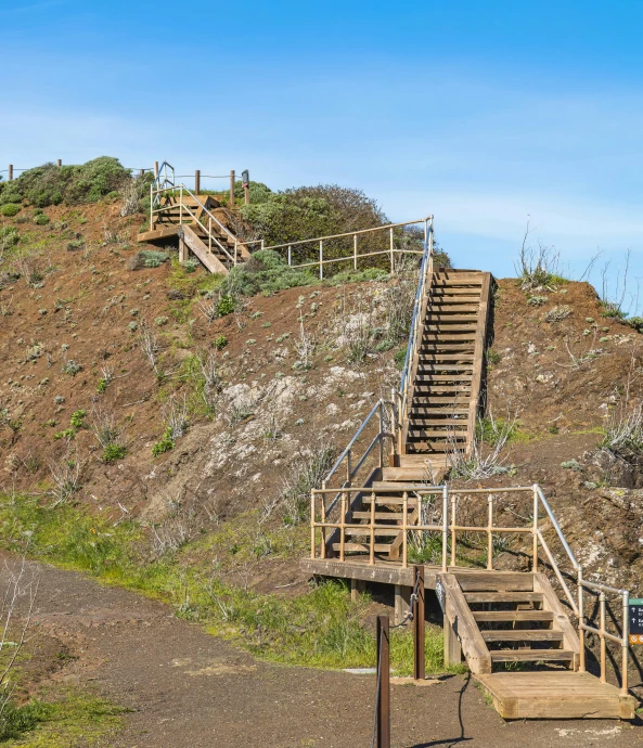 there are several wooden stairs going up the hill