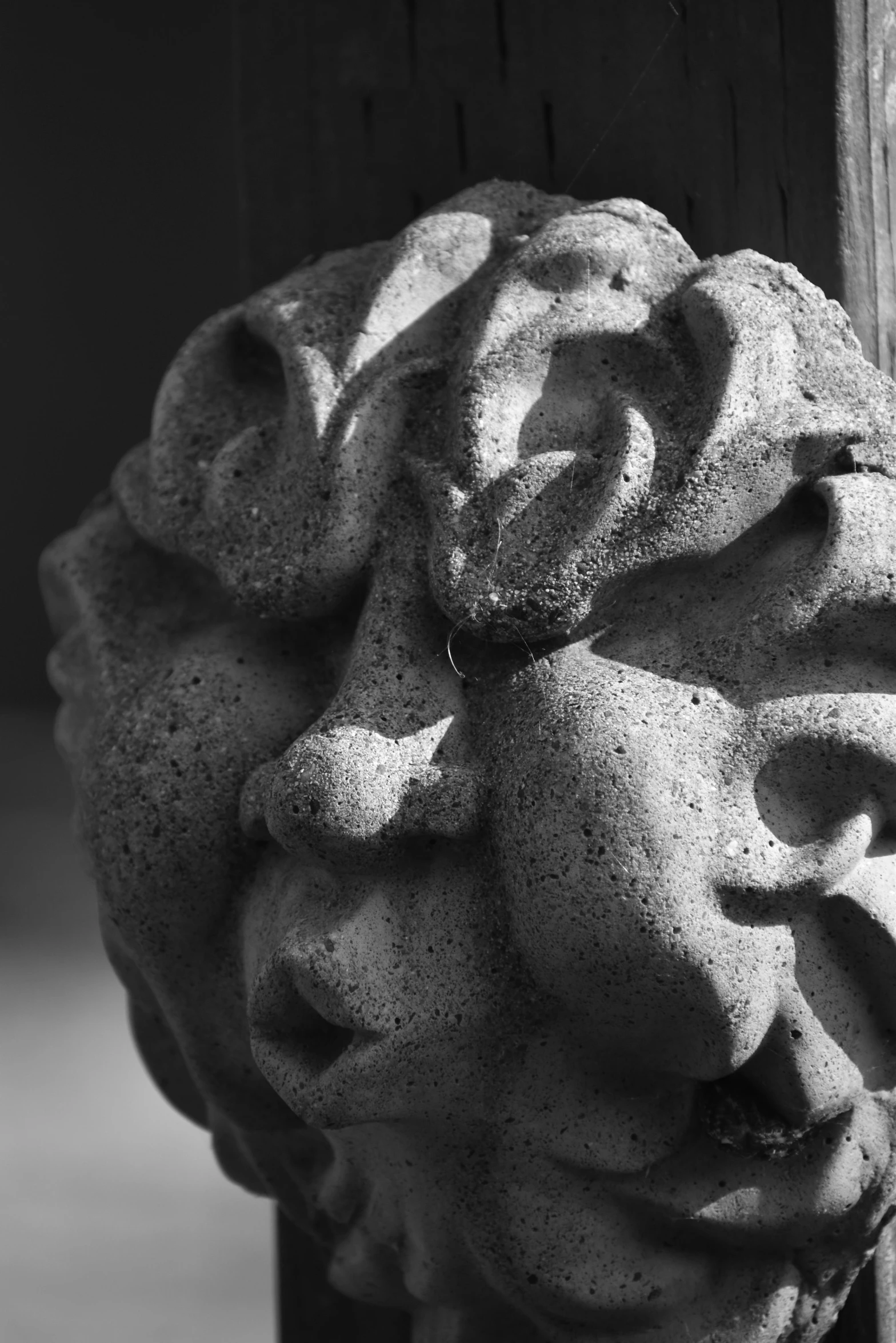 a stone statue of a lion head sticking out of a wooden door